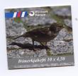 Rav-auktion uge-auktion 803 ordreid 257100