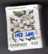 Rav-auktion uge-auktion 803 ordreid 422002