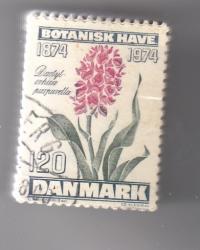 Ugeauktion 877 - Bundter AFA 575 - 585 #339042