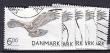 Rav-auktion uge-auktion 802 ordreid 420024